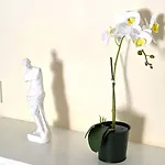 Apartment Stylish 2br With Balcony, Wifi & Pool